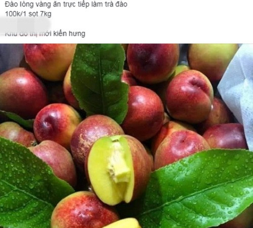 Trên chợ mạng, đào lòng vàng cũng được rao bán rầm rộ với giá rẻ. Ảnh: chụp màn hình.