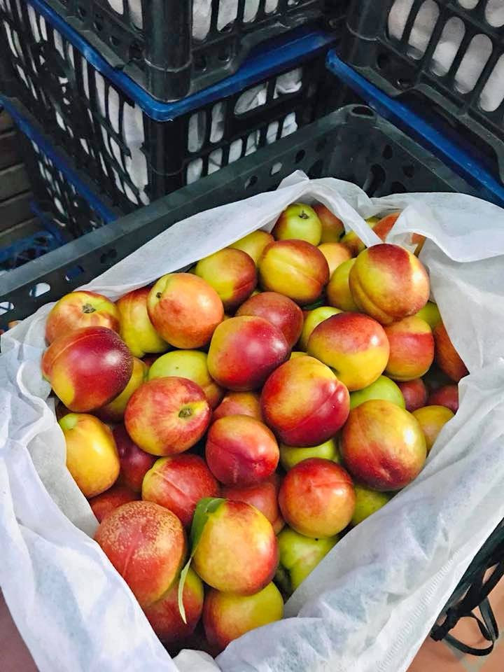 Chia sẻ trên Vietnamnet, anh Trương Ngọc Nam - đầu mối đổ sỉ đào ở chợ Long Biên cho biết, hiện đang vào mùa đào, nho nên mỗi ngày anh đánh 1 xe tải gần 3 tấn về chợ đổ buôn cho các mối lấy sỉ. Ảnh: Facebook.