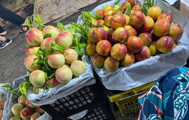 Anh Nam cũng khảng định, các loại đào lòng vàng, đào lông đỏ hay đào mỏ quạ đang bán đầy chợ có gắn mác “đào Sa Pa” thực chất là đào Trung Quốc. Ảnh: Vietnamnet.