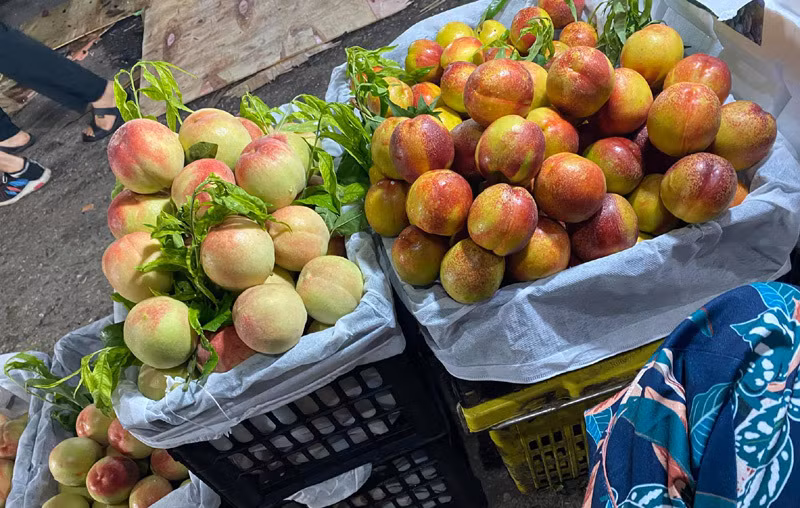 Anh Nam cũng khảng định, các loại đào lòng vàng, đào lông đỏ hay đào mỏ quạ đang bán đầy chợ có gắn mác “đào Sa Pa” thực chất là đào Trung Quốc. Ảnh: Vietnamnet.