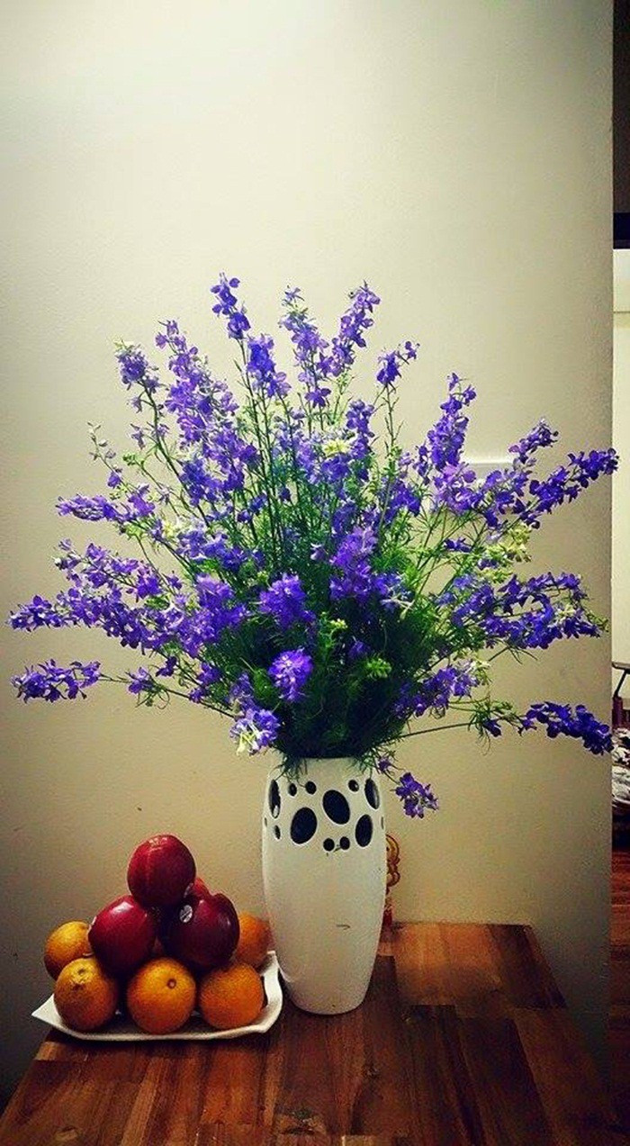 Một số loại hoa truyền thống được chưng trong ngày Tết như violet, hoa cúc, thược dược, hoa cẩm chướng, hoa lay ơn, hoa đào…