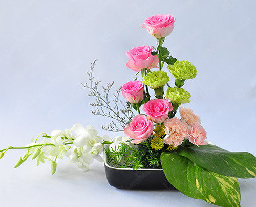 Nên chọn các loại hoa có cành ngắn bởi giá thường thấp hơn nhiều so với cành cao.