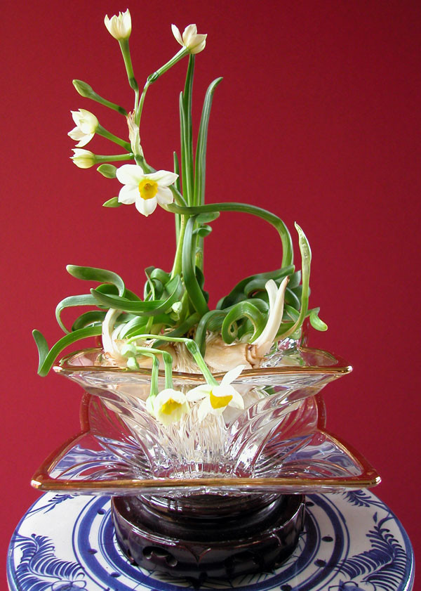 Nếu yêu thích hoa trồng từ củ, hoặc có thú gọt củ chơi hoa trong dịp Tết thì việc lựa chọn mua củ từ sớm như tulip, thủy tiên, hoa ly, thược dược, huệ, lay ơn… sẽ là ý tưởng hữu ích.