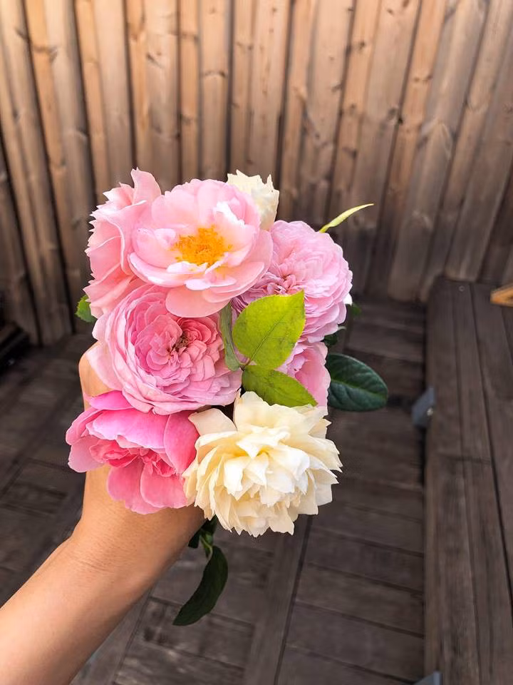 Hà Tăng cũng thường cắt hoa trong vườn tự tay cắm hoa trang trí cho ngôi nhà. Ảnh: FBNV.