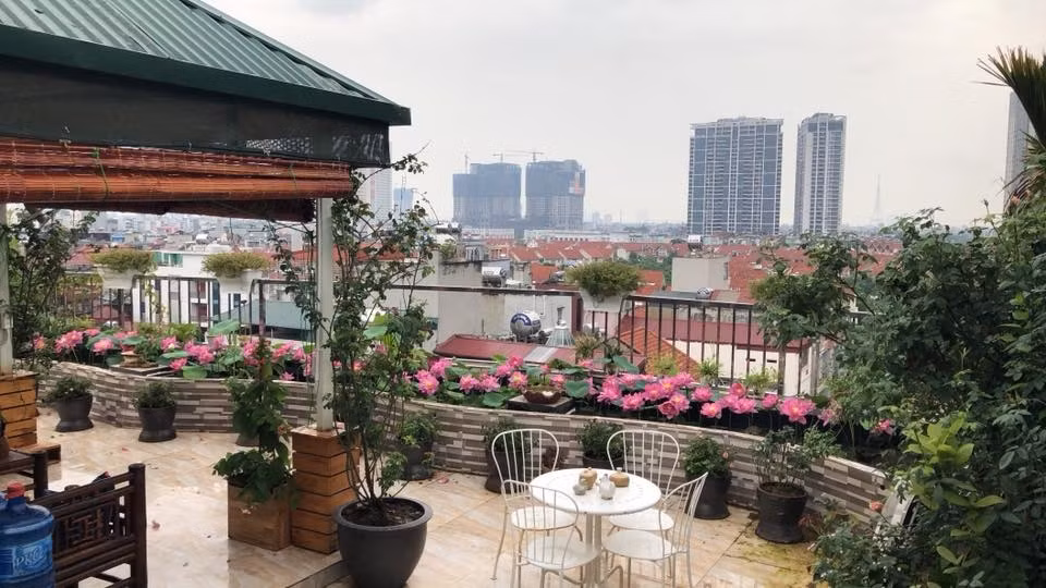 Hồ sen của chị Thúy nở đều từ tháng 5 đến tháng 10, mỗi đợt rộ được khoảng 20 bông. Ảnh: Vietnammoi.