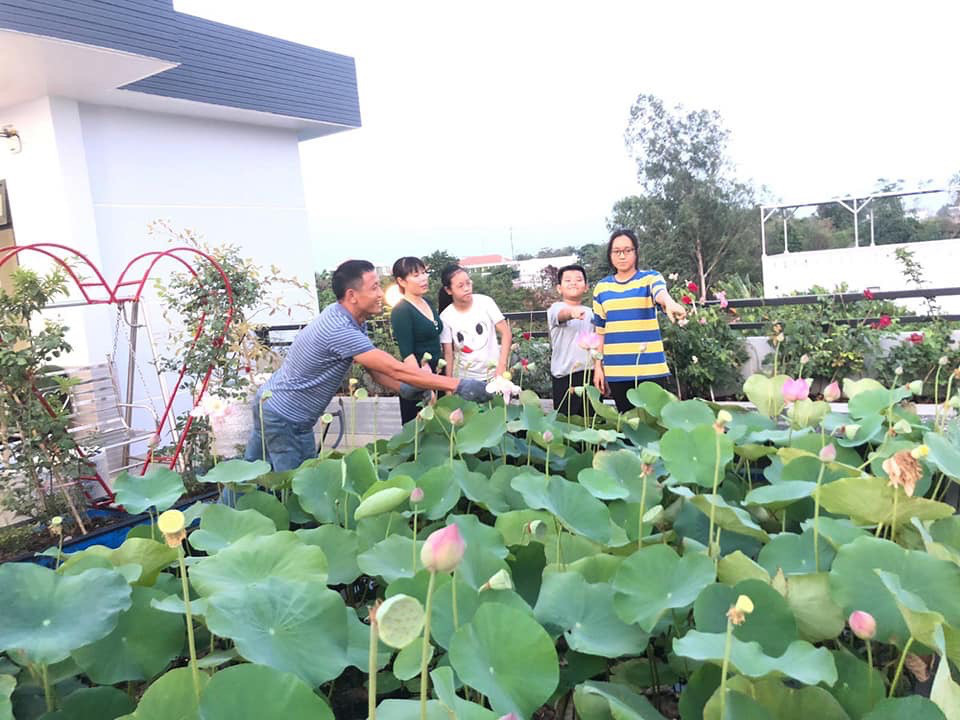 Giờ đây, hồ sen trở thành nơi yêu thích nhất của gia đình anh Huynh. Ai đến chơi cũng muốn lưu lại những khoảnh khắc đẹp nhất bên hồ sen. Ảnh: Trangtraiviet.