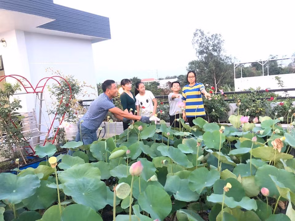 Giờ đây, hồ sen trở thành nơi yêu thích nhất của gia đình anh Huynh. Ai đến chơi cũng muốn lưu lại những khoảnh khắc đẹp nhất bên hồ sen. Ảnh: Trangtraiviet.