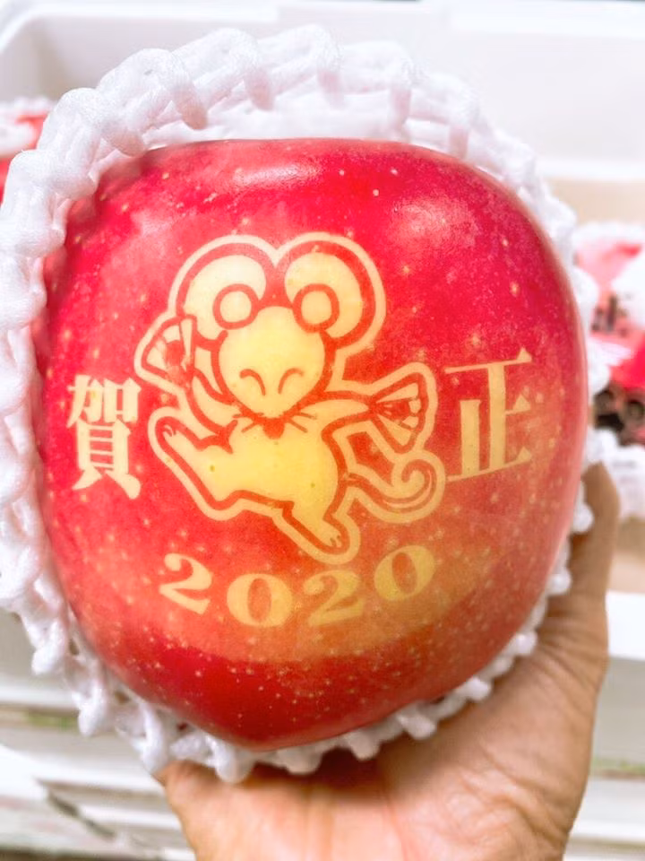 Loại táo Mutsu này có màu đỏ hồng, vị ngọt, giòn, trồng tại vùng Aomori (Nhật Bản). Khoảng một tháng trước khi thu hoạch, những quả táo đẹp nhất sẽ được chọn ra để dán tấm chắn có in hình, in chữ. Ảnh: Facebook.