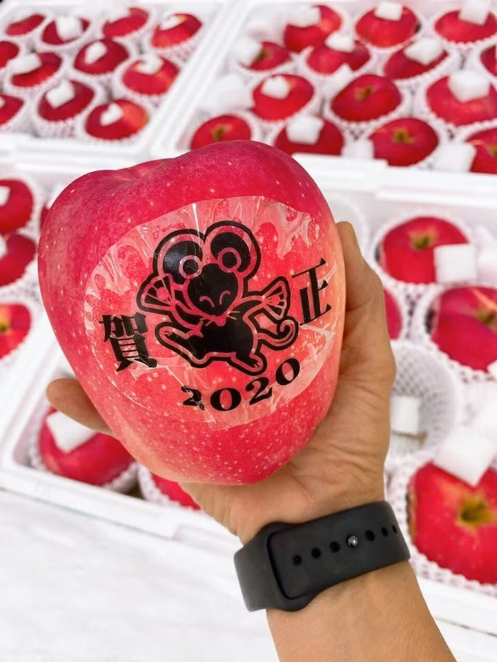 Đáng chú ý nhất là táo Mutsu in hình con chuột 2020 nặng từ 500-600 gram có giá 690.000 đồng. Nếu khách mua theo cặp, mức giá sẽ giảm còn 625.000 đồng. Ảnh: Facebook.