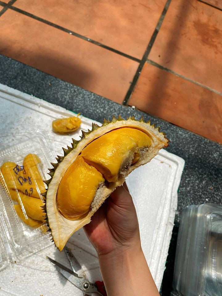 Chị Ly (một người bán hàng online) cho biết, giống sầu riêng mini Thái Lan có mặt tại Việt Nam từ 3 năm trước. Khách quen của chị Ly thường xuyên đặt hàng từ năm này sang năm khác.