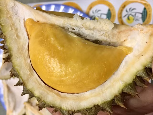 Sau khi thưởng thức, anh Tuấn thấy loại sầu riêng này không quá đặc sắc. Nếu xét về tính kinh tế thì mua sầu riêng nội địa vẫn hơn. Nguồn ảnh: Facebook.