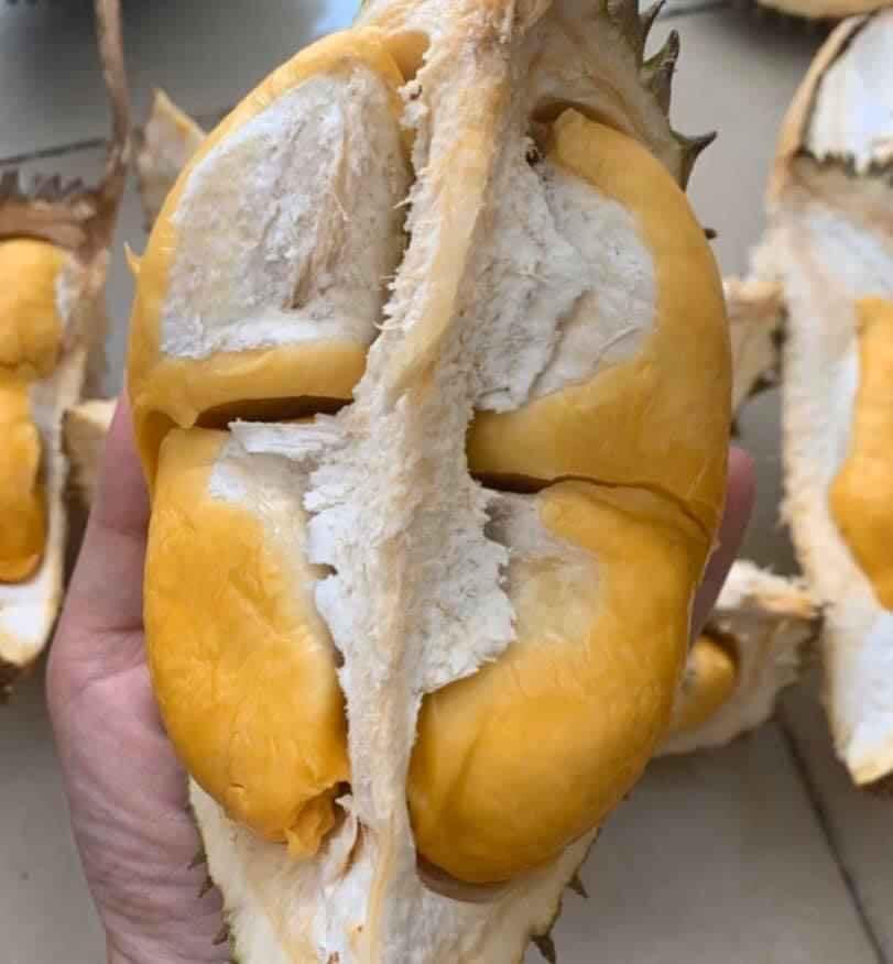 Tương tự, anh Tuấn (Bắc Ninh) cũng mua thử sầu riêng mini Thái Lan của một người bạn bán trên mạng.