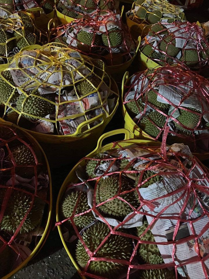 Cô Minh (Hoàng Mai, Hà Nội) đặt mua 2 trái về ăn thử thì thấy sầu riêng mini Thái béo và thơm không thua sầu riêng của Việt Nam.