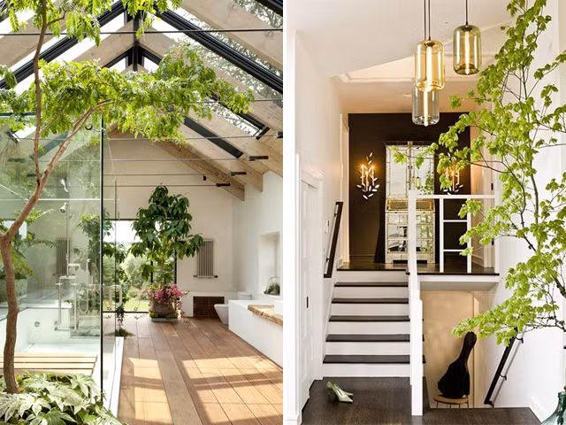 Thiết kế khu vườn trong nhà là xu hướng được ưa chuộng nhiều năm qua. Các khu vườn nhỏ trong nhà không chỉ giúp thanh lọc không khí mà còn được biết đến như một khoảng nhỏ giúp lấy sáng cho ngôi nhà. Ảnh: Internet.