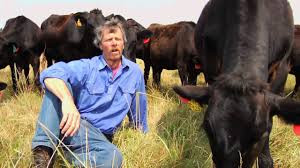 Ngoài ra, những con bò Kobe còn được cho nghe nhạc cổ điển thường xuyên. Dù chưa có chứng minh khoa học, nhiều người tin rằng việc nghe nhạc giúp tinh thần những chú bò vui vẻ trong phần lớn cuộc đời của chúng và điều đó khiến thịt ngon.