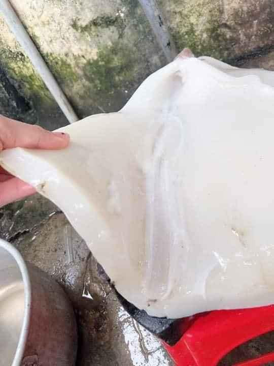 Loại mực này có thân hình to và màu sắc xấu xí nên giá thành rẻ hơn so với các loại mực ống khác. Cũng do giá rẻ mà rất đông khách hàng hỏi mua.