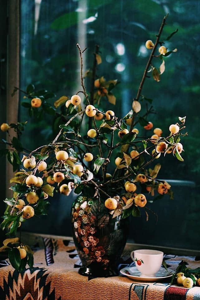 Theo người bán, cành táo mèo tươi rất dễ chăm sóc, chỉ cần cắm trong bình đủ nước, thay nước 2-3 ngày/lần là chơi được cả tháng. Ảnh: Phương Ngô