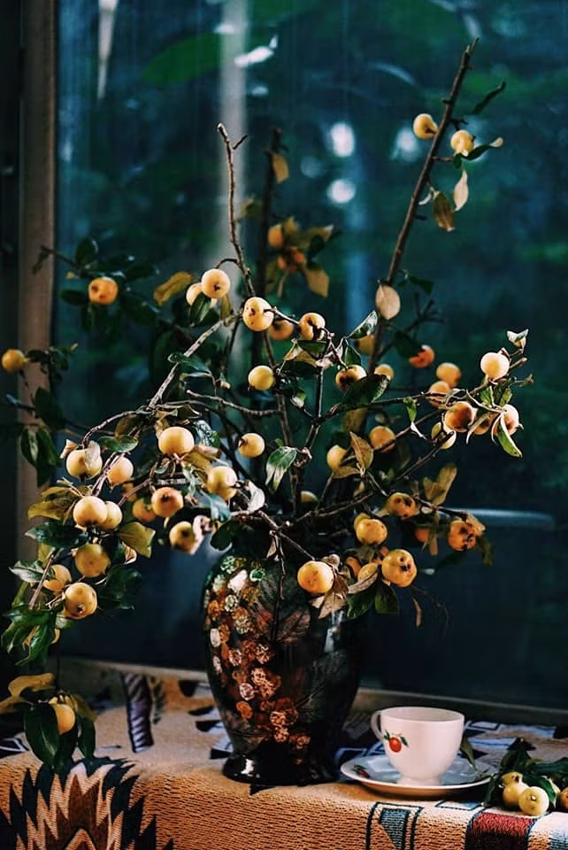 Theo người bán, cành táo mèo tươi rất dễ chăm sóc, chỉ cần cắm trong bình đủ nước, thay nước 2-3 ngày/lần là chơi được cả tháng. Ảnh: Phương Ngô