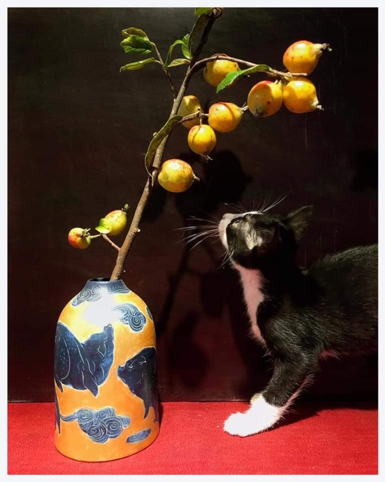 Cành dài vừa khoảng 40-50 cm có giá từ 200.000 - 270.000 đồng/5 cành Cũng có tiểu thương rao bán giá 190.000 đồng/20 cành. Ảnh: FB Oanh Kiều Đỗ.