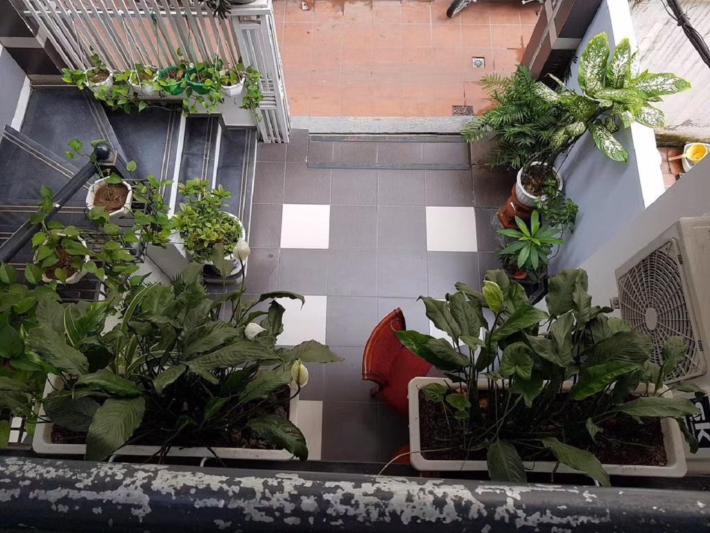 Yếu tố thiên nhiên ngày càng được chú trọng, đề cao trong thiết kế nội thất. Do đó, xu hướng vườn trong nhà sẽ trở nên thịnh hành hơn trong năm tới.