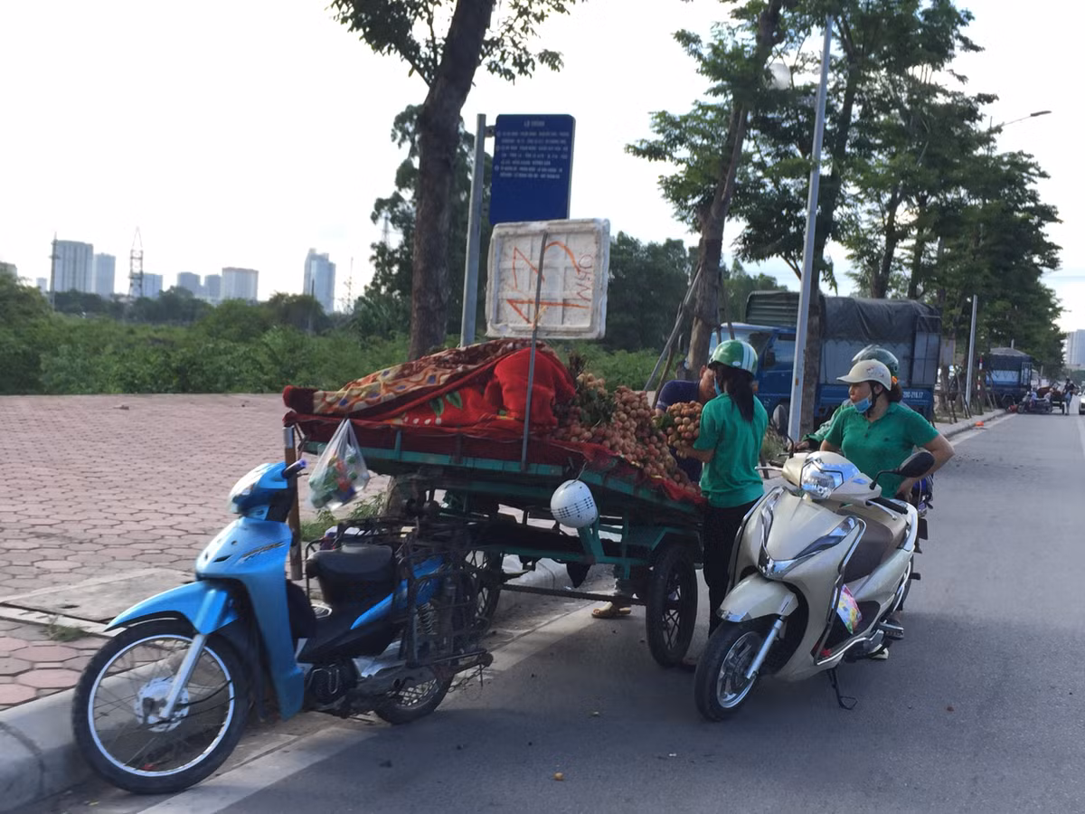 Để đảm bảo sức khỏe, người tiêu dùng nên chọn mua hàng ở siêu thị hoặc những cửa hàng uy tín. Video: Mẹo bảo quản hoa quả tươi lâu, không phải ai cũng biết. Nguồn: VTC Now