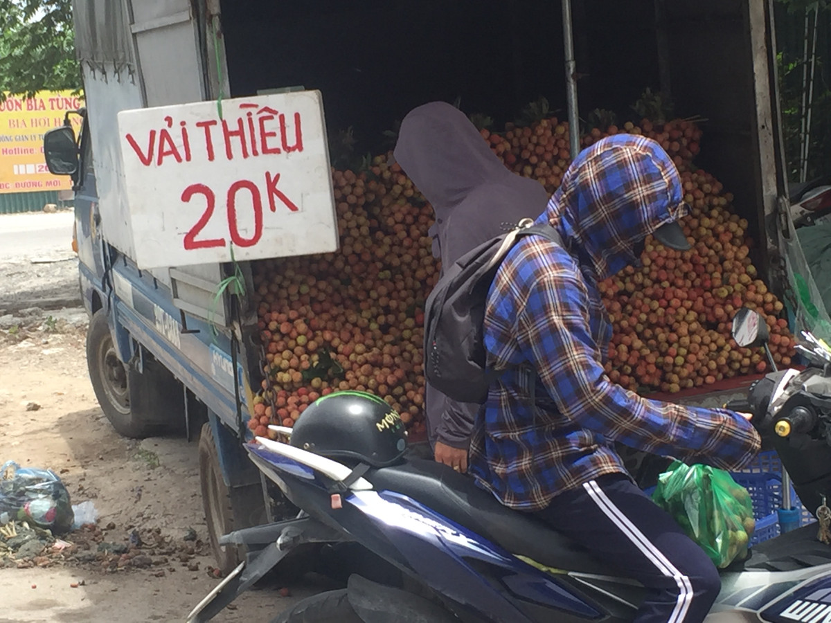 Tại một điểm trên đường Nguyễn Xiển, hàng loạt xe tải xếp chật kín vải được giới thiệu vải Bắc Giang, ngon ngọt chỉ bán với giá 20 nghìn đồng/cân.