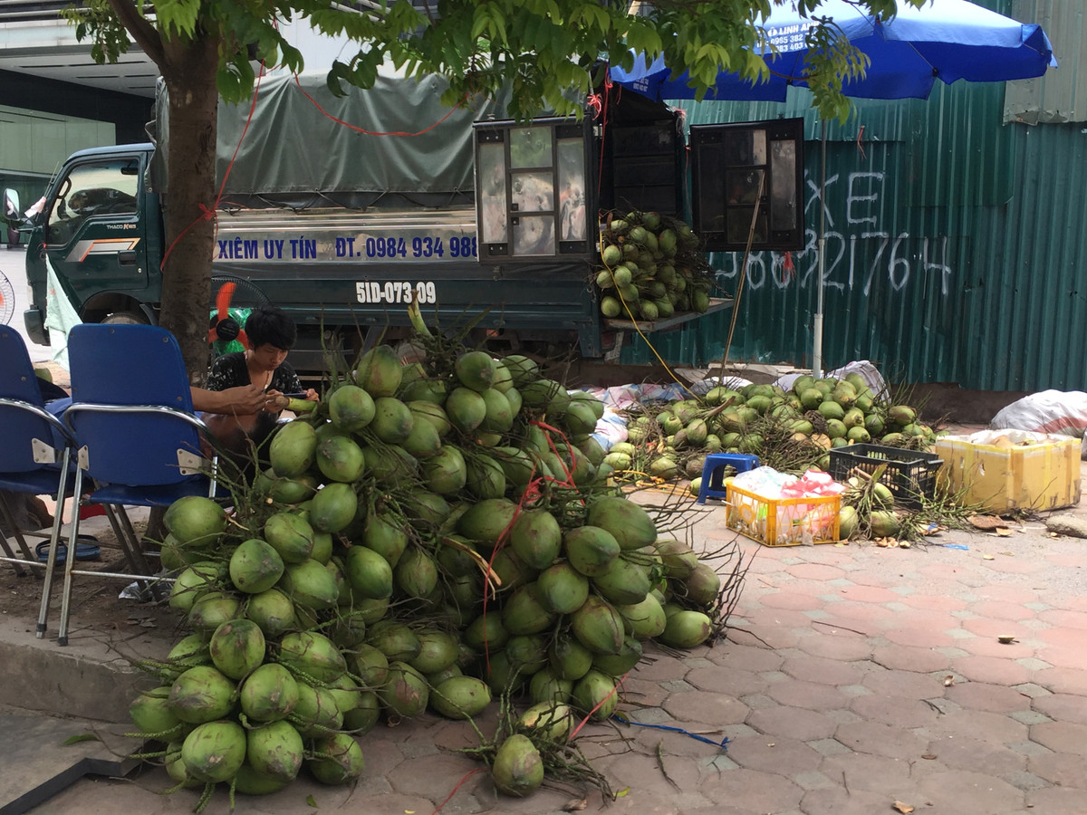 Một người bán dừa xiêm cho biết, dừa được chuyển từ Bến Tre ra, đảm bảo nhiều nước, rất ngọt, giá từ 10 nghìn đồng/quả.