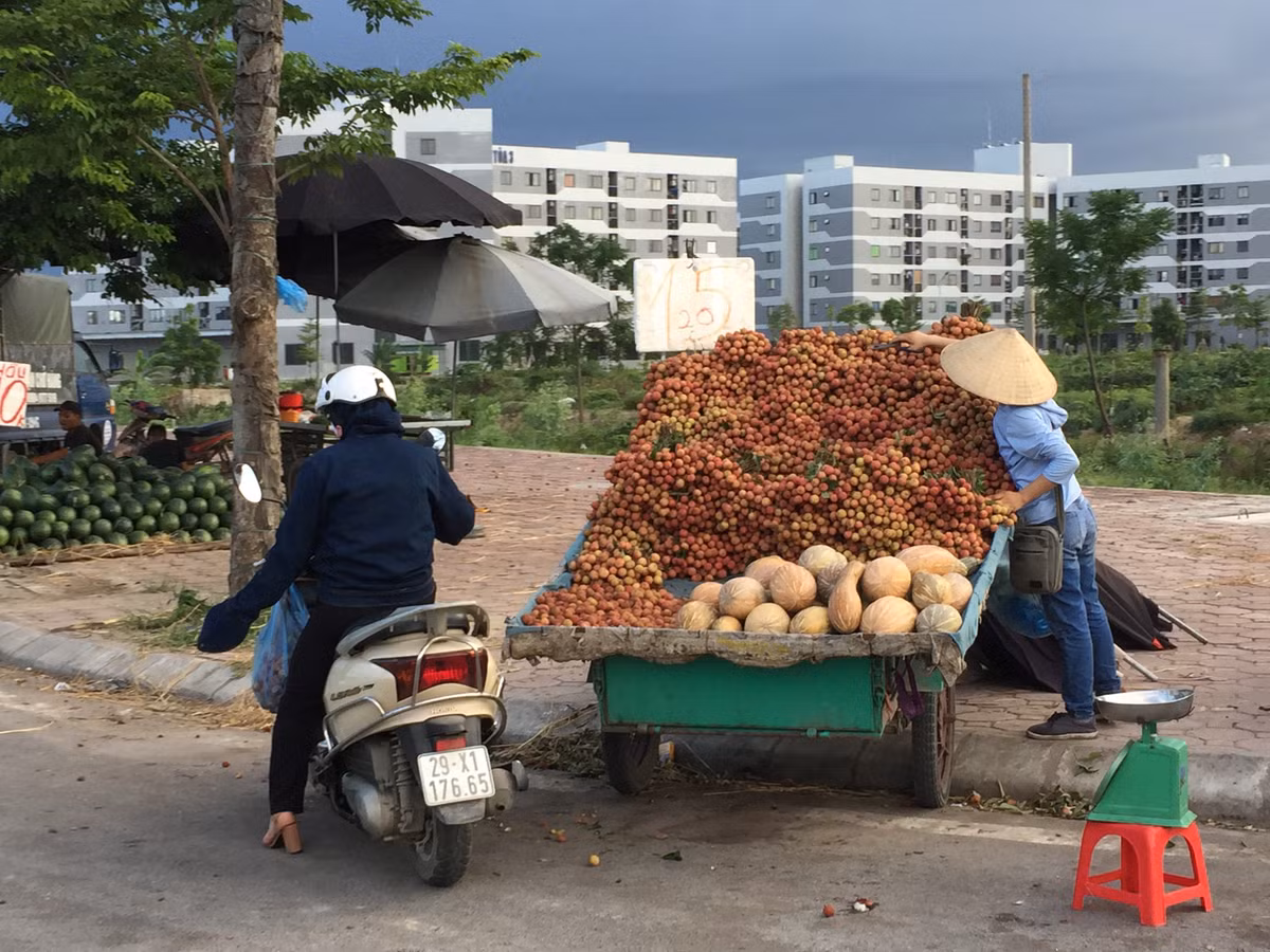 Với đủ các loại quả như dưa hấu, vải, chôm chôm, mận... bày bán thu hút người dân giờ tan tầm.