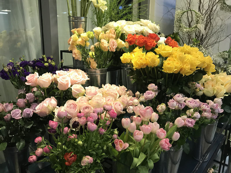 Chuyen chua tung co, gia hoa giam manh ngay 8/3-Hinh-3