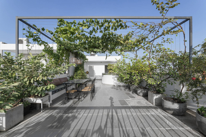 Sân thượng trồng nhiều cây xanh. rợp bóng mát.