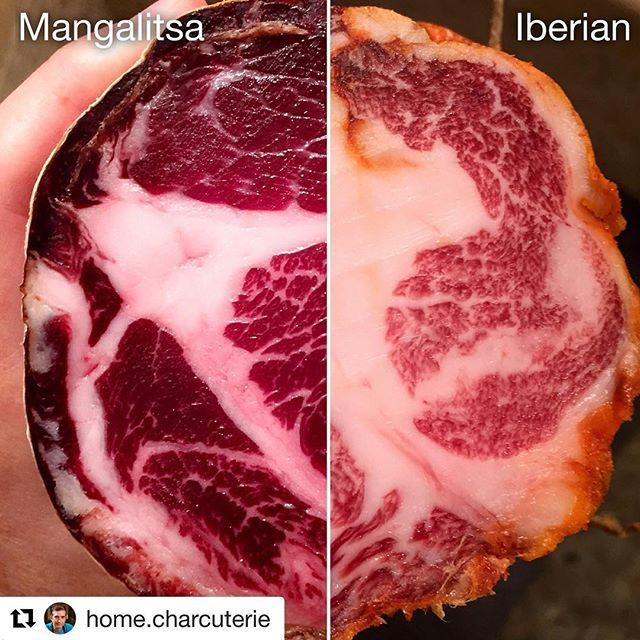 Thịt mang hương vị đậm đà, hơi ngọt, đòi hỏi cực ít gia vị và mềm đến mức như tan trong miệng mỗi khi thưởng thức. Do đó phần thịt ít ỏi trong mỗi con heo Mangalica được đánh giá là một cực phẩm xứng đáng đứng ngang hàng với thịt bò Wagyu hay Kobe đẳng cấp.