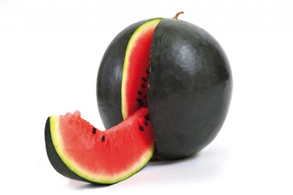 Loại dưa này khá hiếm bởi mỗi lần thu hoạch chỉ được vài chục quả, mỗi năm chỉ có khoảng 10.000 quả dưa hấu đen được thu hoạch. Vỏ ngoài của dưa có màu đen bóng tự nhiên rất đẹp, sang trọng, vị ngon ngọt đặc biệt. Ảnh: Getty Image