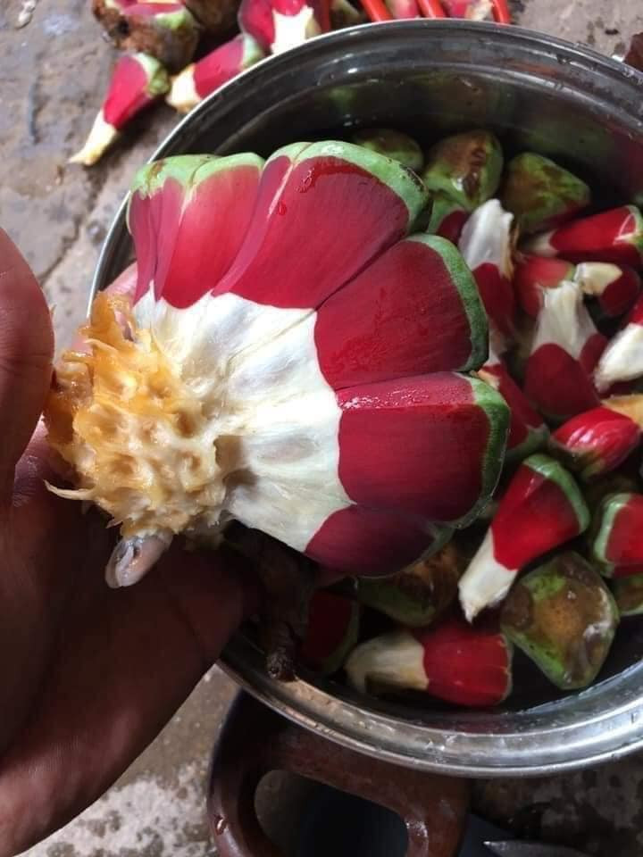 Na rửa sạch, để ráo nước. Sau đó, bóc ra từng múi nhỏ. Nên chọn bình thủy tinh hoặc bình gốm sứ để ngâm rượu na. Ảnh: Facebook.