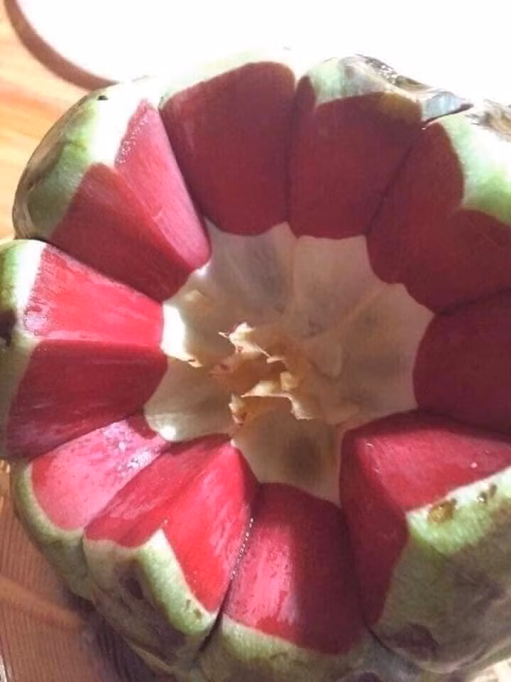 Anh Phong (Văn Phú, Hà Đông, Hà Nội) cho biết vừa rồi cũng mua 3kg na rừng về ngâm cùng các loại hoa quả khác như táo đá, táo mèo, dâu tây..Ảnh: Facebook..