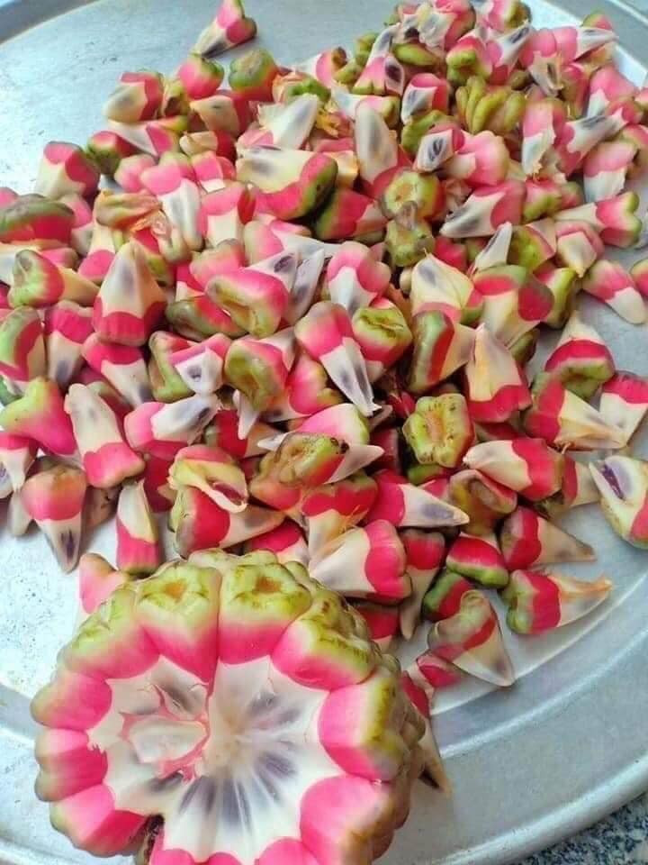 Tuy nhiên, vài năm trở lại đây, na rừng được nhiều người tìm hái nên có giá giảm hơn, chỉ còn 90.000 - 100.000 đồng/kg. Ảnh: Facebook.