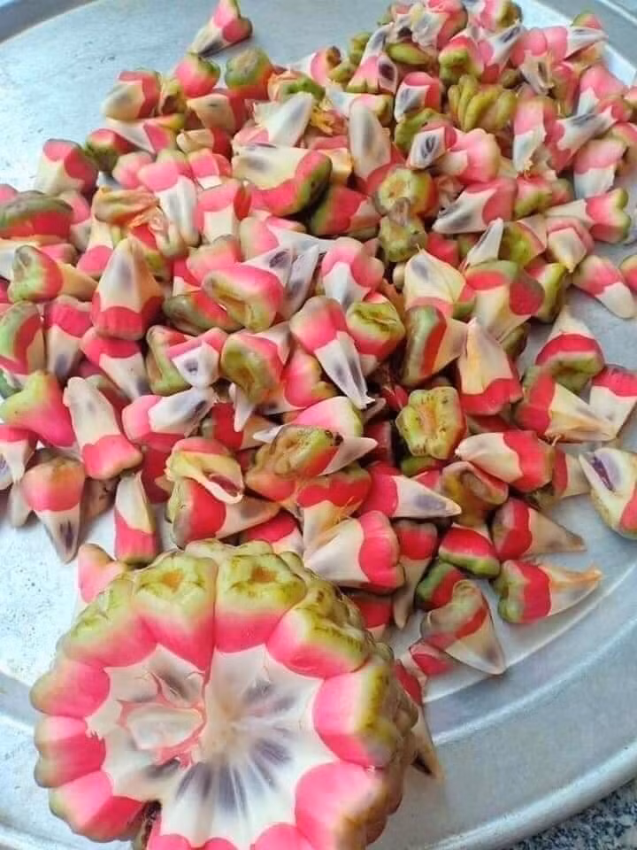 Tuy nhiên, vài năm trở lại đây, na rừng được nhiều người tìm hái nên có giá giảm hơn, chỉ còn 90.000 - 100.000 đồng/kg. Ảnh: Facebook.