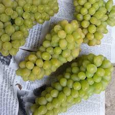 Nho xanh Ninh Thuận có trái hình cầu, nhỏ bằng đầu ngón tay, các trái tương đối khít nhau, màu xanh đẹp mắt, thịt chắc và dai (dùng tay ấn sẽ thấy săn chắc) có vị ngọt và hơi chua. Loại nho này vỏ dày, có hạt. Trọng lượng từ 200g-500g/chùm.