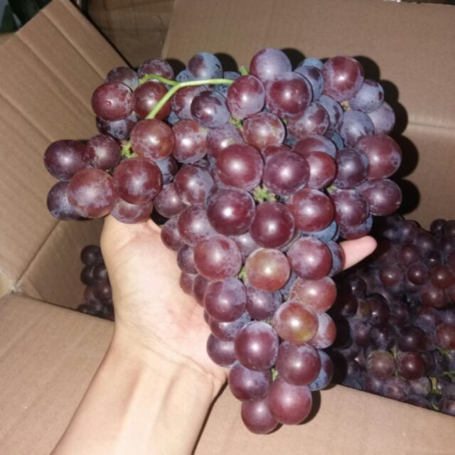 Nho đỏ Ninh Thuận khi chín có màu tím nhạt, ăn hơi rôn rốt chứ không ngọt sắc như nho Trung Quốc. Loại nho này quả nhỏ, tương đối khít nhau, chùm cũng không to.