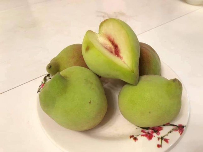 Thực chất đây là một loại hoa quả Trung Quốc. Bởi, đào mỏ quạ Sa Pa có số lượng rất ít, chỉ phục vụ nhu cầu trong tỉnh và khách du lịch chứ không đóng thùng xốp bán ra các tỉnh khác với số lượng lớn.