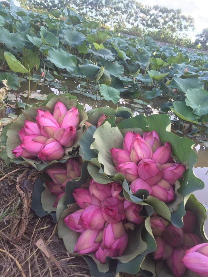 Sau khi nhận đơn, chị Na ghi lại cẩn thận từ tối rồi sáng sớm hôm sau đi lấy hàng, chia thành từng bó và đi ship.