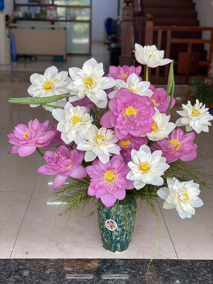 Sen bách diệp được bán trong khoảng 80.000 - 120.000 đồng/chục, trung bình khoảng 10.000 đồng/bông.