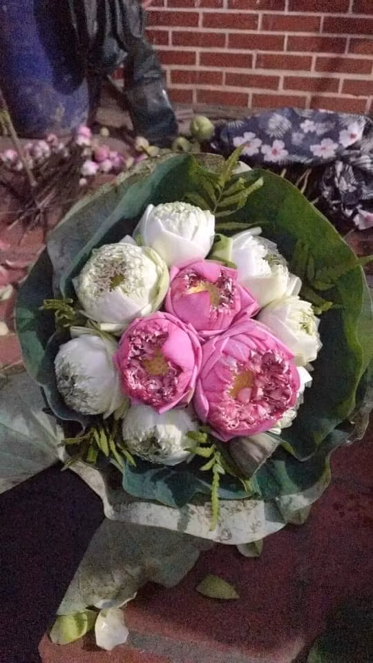 Sen bach diep dat gap doi loai thuong nhung van khong du ban