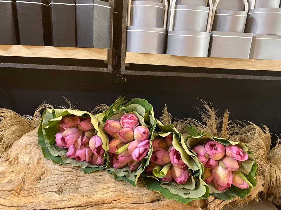 Đặc biệt, thời gian nở của loài hoa này rất dài, từ lúc bắt đầu bung nở đến lúc tàn kéo dài từ 15 – 20 ngày. Nguồn ảnh: Facebook. Video: Chấn chỉnh hoạt động chụp cởi đồ bên hoa sen. Nguồn: VTC Now