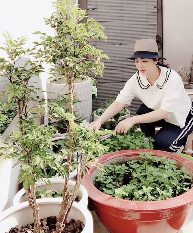 Hoa hậu Giáng My cũng tận dụng những khoảng trống để tạo một khu vườn trồng nhiều rau và hoa theo sở thích của mình ngay trong biệt thự.