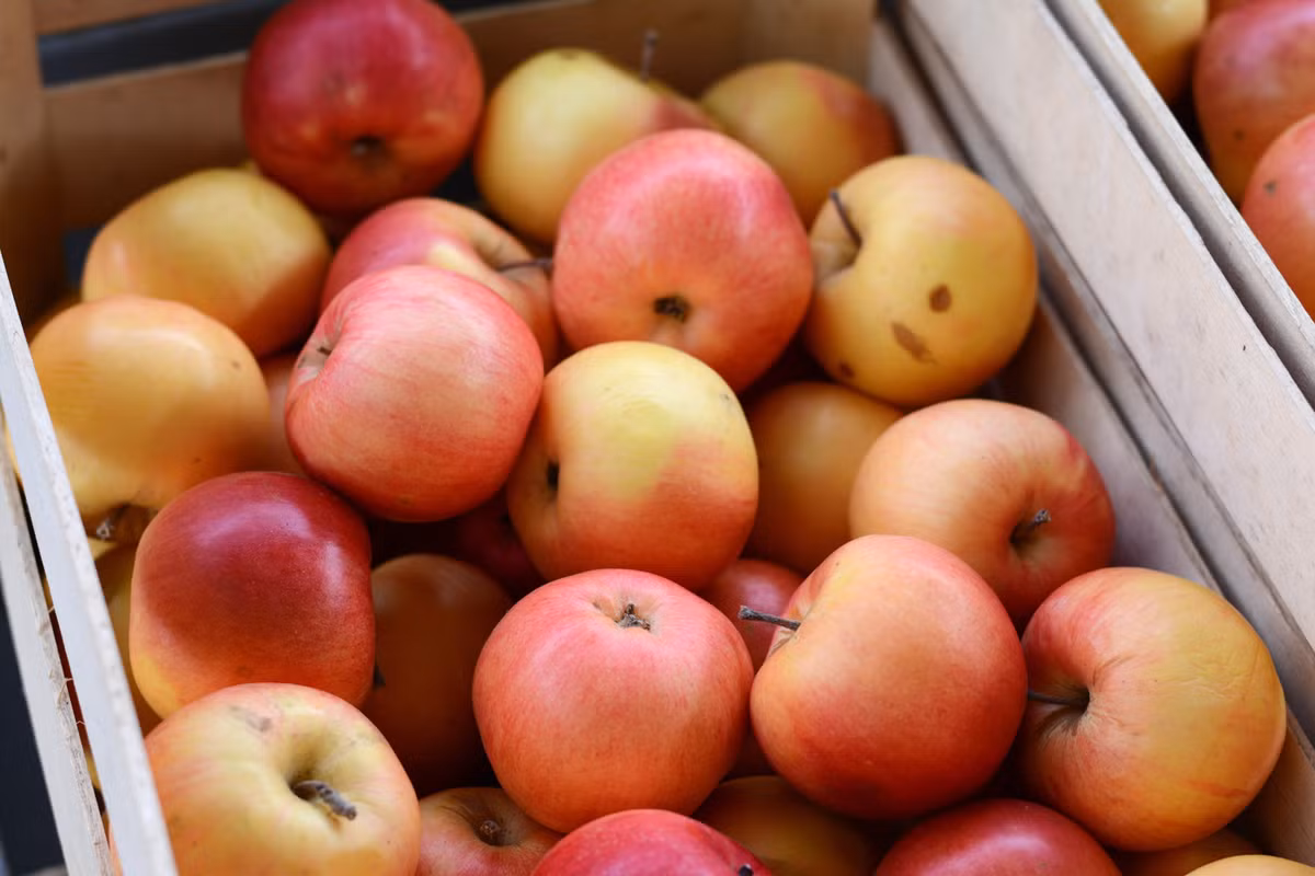 Su that nga ngua dang sau nhung sap rau qua tuoi ngon roi roi trong sieu thi