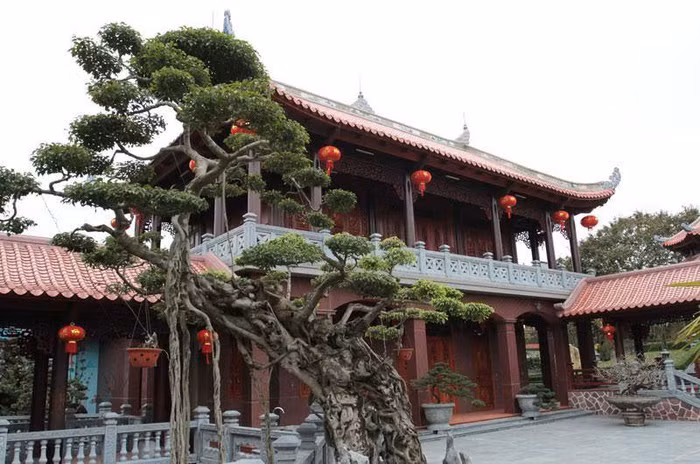 Ngôi nhà xây dựng trong 5 năm, bắt đầu từ 2004 với lượng gỗ khoảng 2.000 m3, với số lượng gỗ khoảng 2.000m3, chủ yếu mua từ Lào về để phục vụ việc xây dựng. Ảnh: Zing.