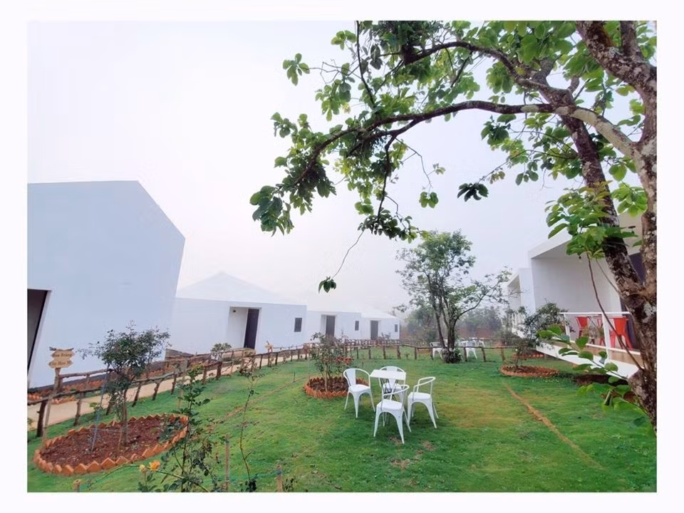 Giữa các khu nhà là lối đi quanh co, trồng cỏ để du khách có thể tản bộ hoặc đạp xe.