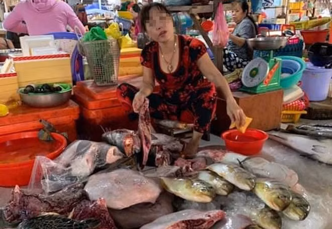 Sáng 7/2, các tình nguyện viên của nhóm bảo vệ rùa biển tại Việt Nam phát hiện một nữ tiểu thương ở chợ Hà Tiên (Kiên Giang) xẻ thịt rùa biển để bán cùng với các loại cá. Ảnh: Zing.