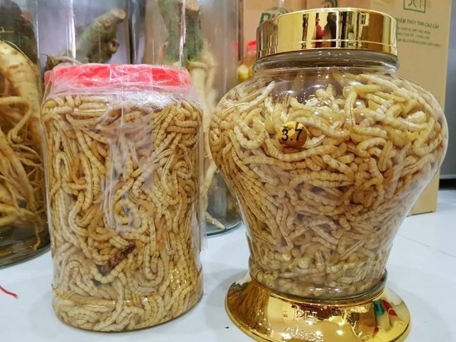 Đáng chú ý, giá của loại sâu chít đã chẻ tách sâu ra khỏi đọt có giá 1,1 triệu đồng/kg. Loại sâu đã sấy khô có giá cao hơn với 3,3 triệu đồng/kg. Ảnh: Lao động.