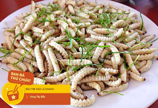 Sâu tre có thể chế biến thành nhiều món ăn như sâu tre rang lá chanh, làm nộm hoa chuối. Khi ăn sẽ thấy sâu thơm ngon, béo ngậy. Ảnh: Nhipsongviet.